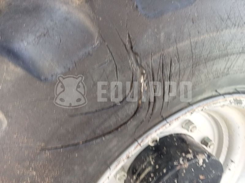 2018 واكر نيوسون DW50-47775646