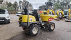 Wacker Neuson 1501.0  - Rechts achter - Gebruikte Mini Dumper