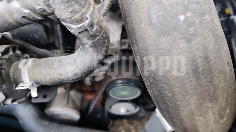 2023 Ford TRANSIT-48663428